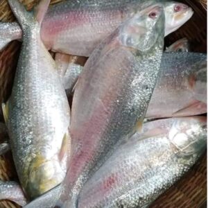 ৭ পিস মাছ ৬ কেজি → ২,৩০০ টাকা